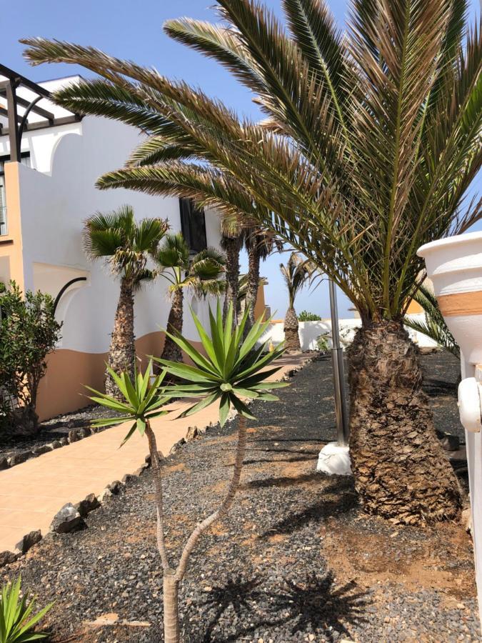 Apartamento Life Complex Amaya Fuerteventura 코스타 데 안티과 외부 사진